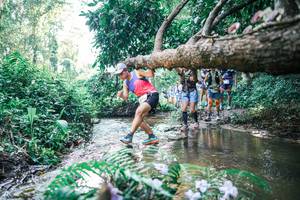 BIB: 
                            <button type="button" onclick="openModal(25448968)" class="btn btn-primary btn-sm float-right btn-popup" data-toggle="modal" data-target=".modal-high-quality">
                        <i class="fas fa-shopping-cart"></i> Add to Cart
                    </button>
                                            <button type="button" onclick="isThisMe(25448968, true)" class="btn btn-success btn-sm float-right btn-popup btn-isme hidden" data-toggle="tooltip" data-placement="bottom" title="นี่คือรูปของคุณใช่ไหม คลิกที่นี่เพื่อเอาเข้าอัลบั้ม">
                        <i class="fas fa-plus"></i> Add to album
                    </button>
                    <button type="button" onclick="isThisMe(25448968, false)" class="btn btn-warning btn-sm float-right btn-popup btn-isnotme hidden">
                        <i class="fas fa-ban"></i> Remove from album
                    </button>